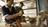 Rabies fears rise in Bali as tourist...