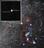 Companion for Betelgeuse confirmed!...